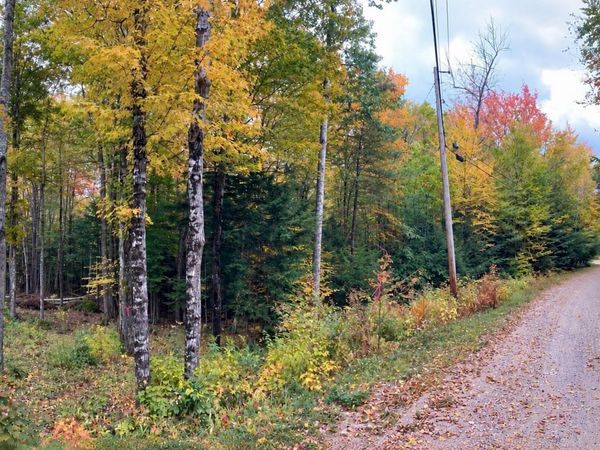 Lot 5 Partridge Road, Jackson, NH 03846