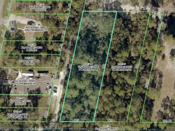 MERRYHILL DRIVE , WEBSTER, FL 33597