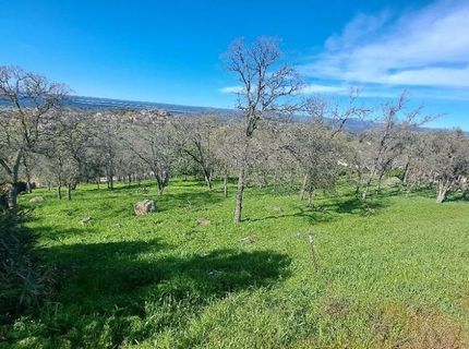 4530 Carmen Dr, El Dorado Hills, CA 95762 Photo