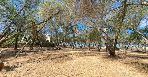 6087 Aldea Dr, El Dorado Hills, CA 95762 Photo