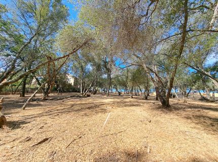 6087 Aldea Dr, El Dorado Hills, CA 95762 Photo