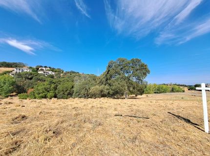 7588 Sangiovese Dr, El Dorado Hills, CA 95762 Photo