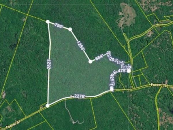 257 Jackson Road, Bradford, NH 03221
