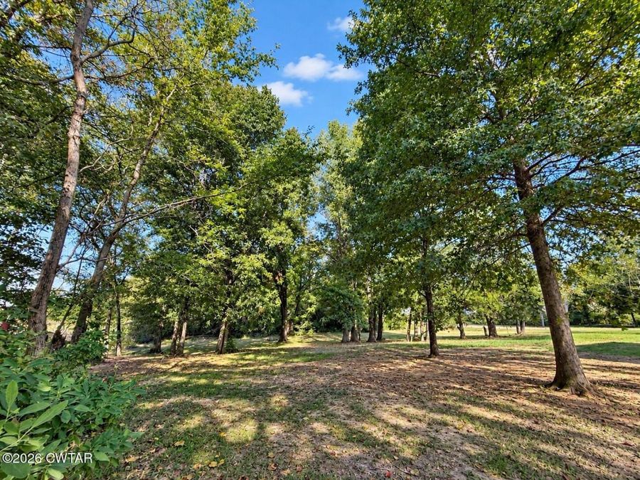 Property Image 63