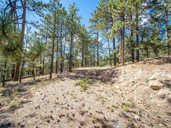 85 Pine Ridge Drive, Bayfield, CO 81122