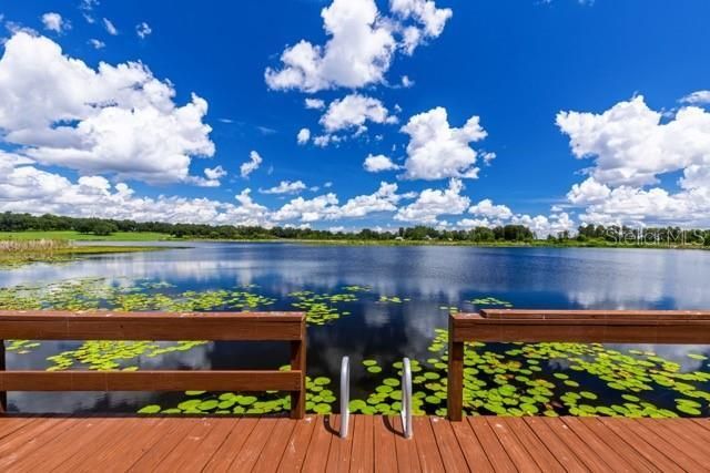 9945 Reds Lane, Clermont, FL 34711 Photo