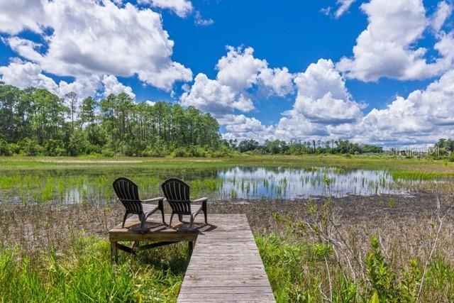 9945 Reds Lane, Clermont, FL 34711 Photo