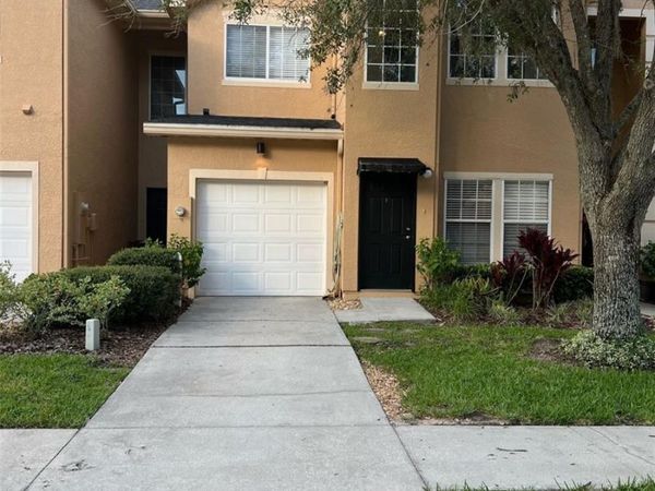 16311 PARKSTONE PALMS COURT , TAMPA, FL 33647