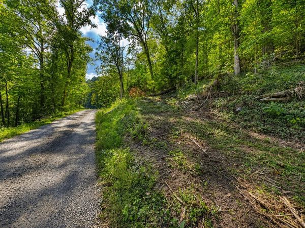 0 Halls Hollow Rd , Smithville, TN 37166