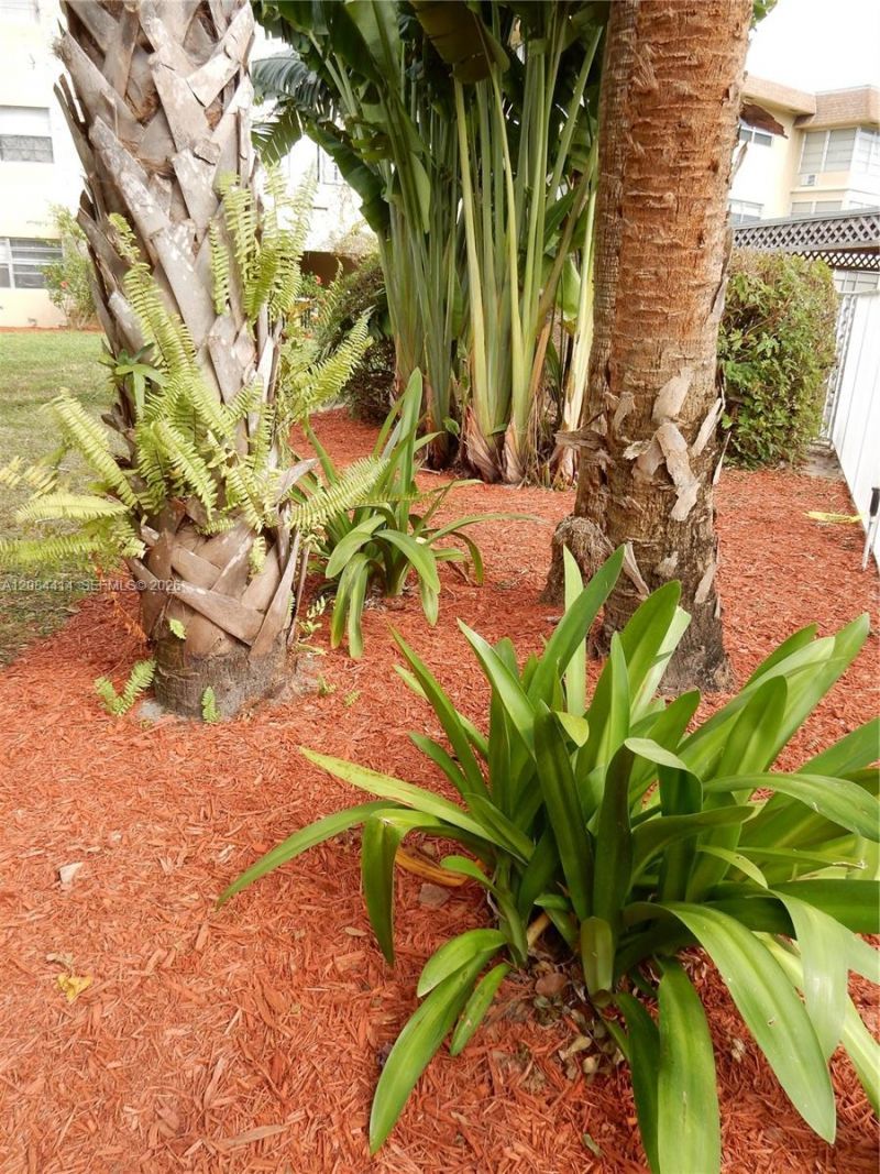 5051 W Oakland Park Blvd , Unit 302, Lauderdale Lakes, FL 33313 Photo