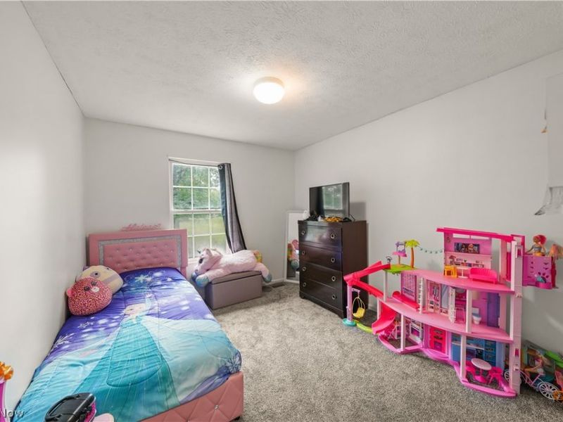 9545 Greenmeadow Road, Windham, OH 44288 Photo 15