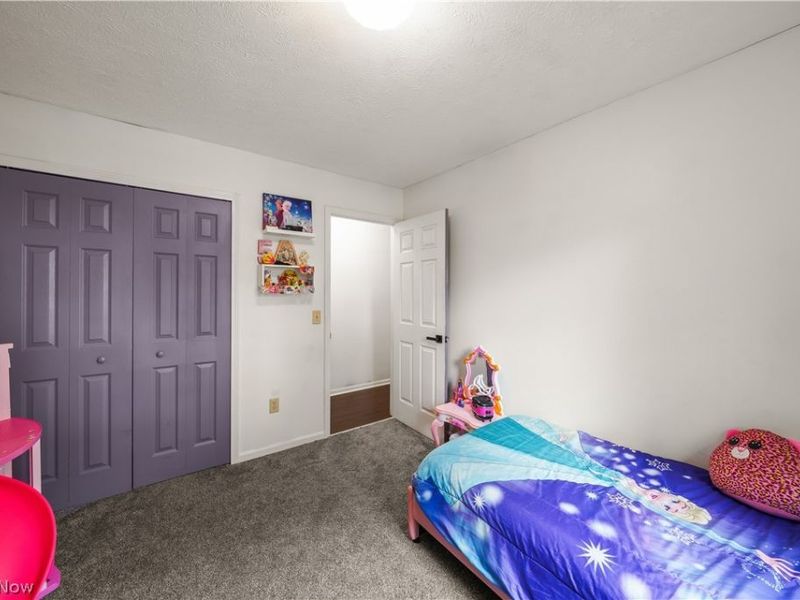 9545 Greenmeadow Road, Windham, OH 44288 Photo 16