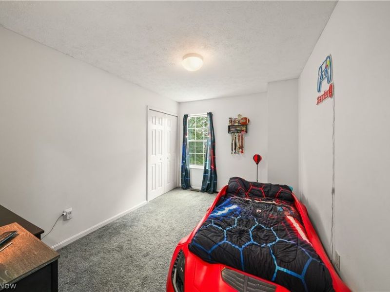 9545 Greenmeadow Road, Windham, OH 44288 Photo 17