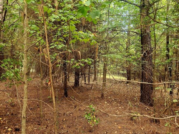 0 Waterview Drive, Spring City, TN 37381