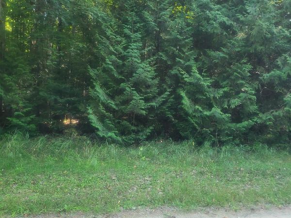 Birchwood Trail, Oscoda, MI 48750