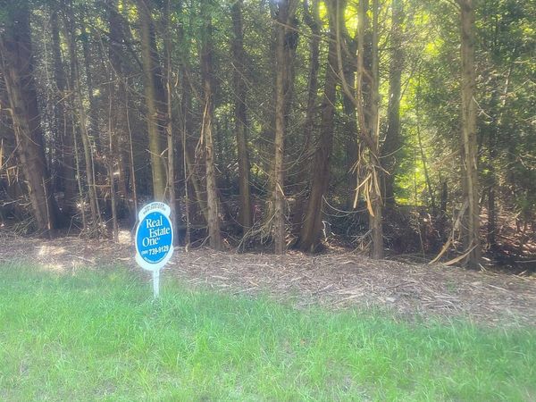 Birchwood Trail, Oscoda, MI 48750