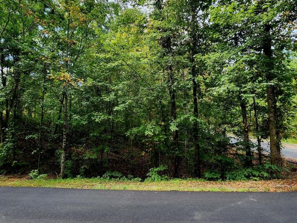 00 Waterview Drive, Spring City, TN 37381