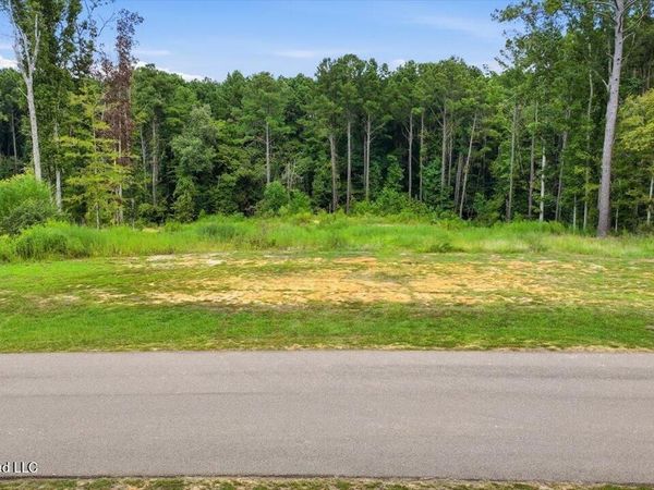 Dogwood Trace, Brandon, MS 39042