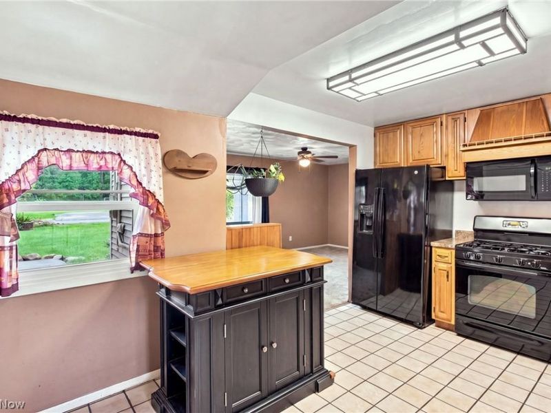 36260 Shaw Drive, North Ridgeville, OH 44039 Photo 9