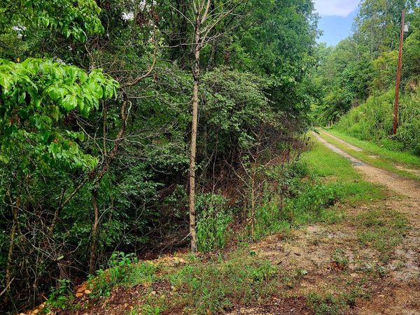 0 Cedar Lane, Spring City, TN 37381