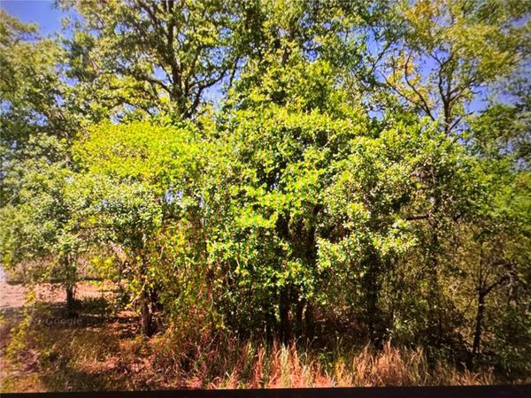 252 LOCUST LANE , OCALA, FL 34472