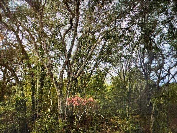 0 SE 141ST AVENUE , OCKLAWAHA, FL 32179