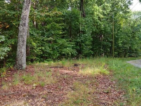 0 Woodland Drive, Spring City, TN 37381
