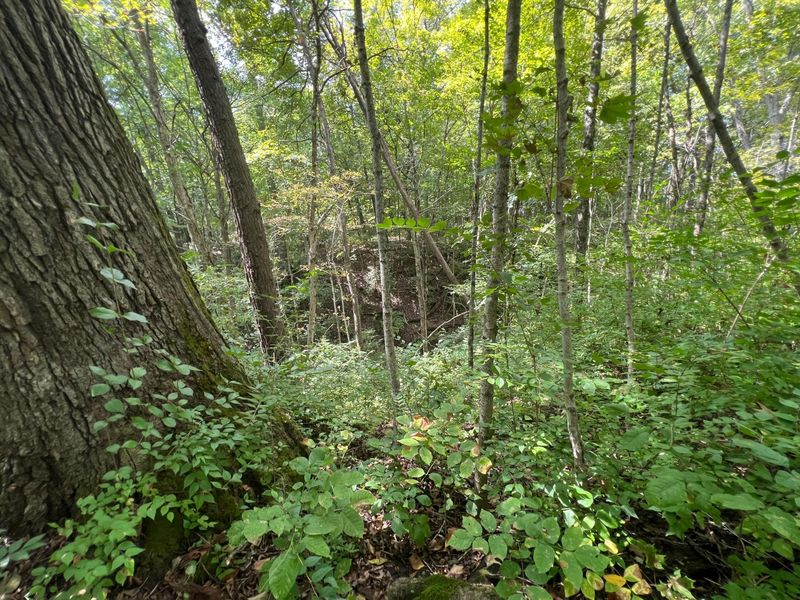 6377 Harrisburg Georgesville, Grove City, OH 43123 Photo 80