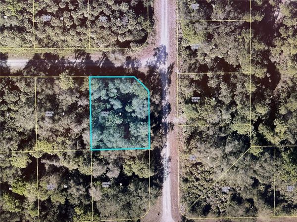 1224 ROSITA STREET E, LEHIGH ACRES, FL 33974