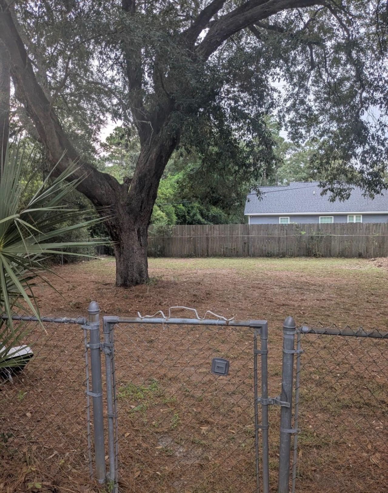 312 George Street Photo 10