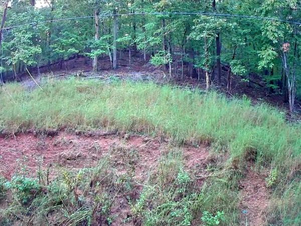 0 Lakeview Drive, Spring City, TN 37381