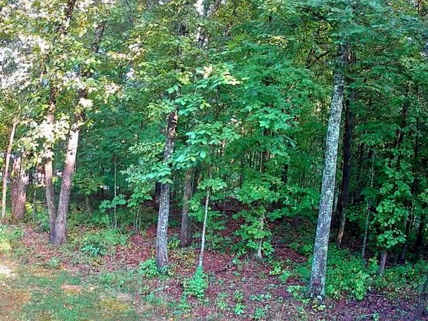 00 Lakeview Drive, Spring City, TN 37381
