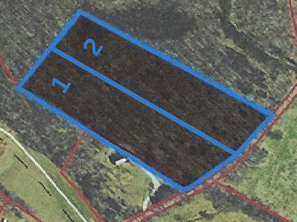 0 Salmon Branch , Unit 1, Erin, TN 37061