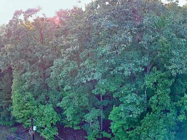 000 Lakeview Drive, Spring City, TN 37381