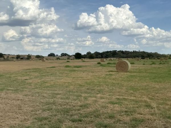 12510 FM 775, La Vernia, TX 78121