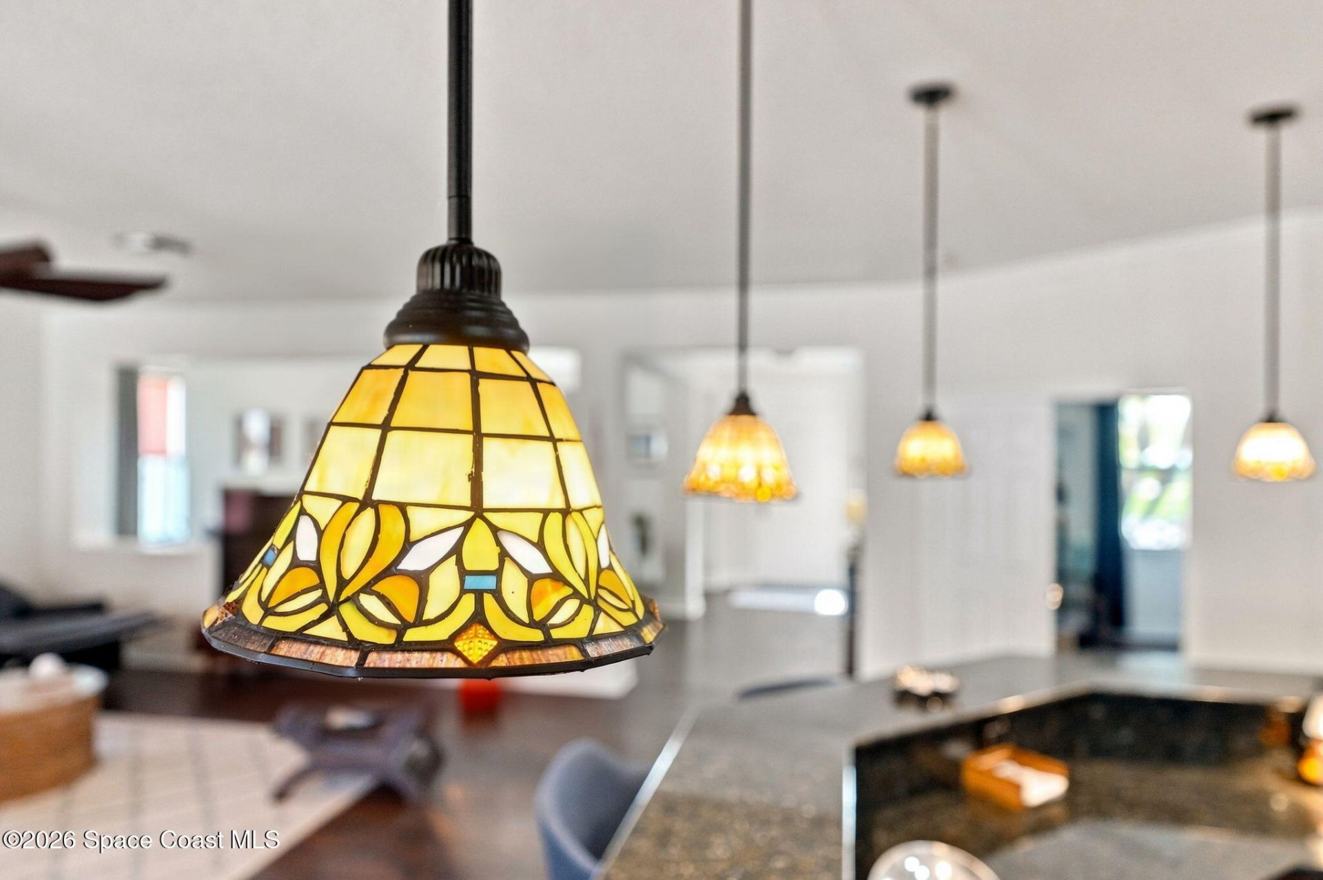 100 Salazar Lane , Sebastian, FL 32958 Photo