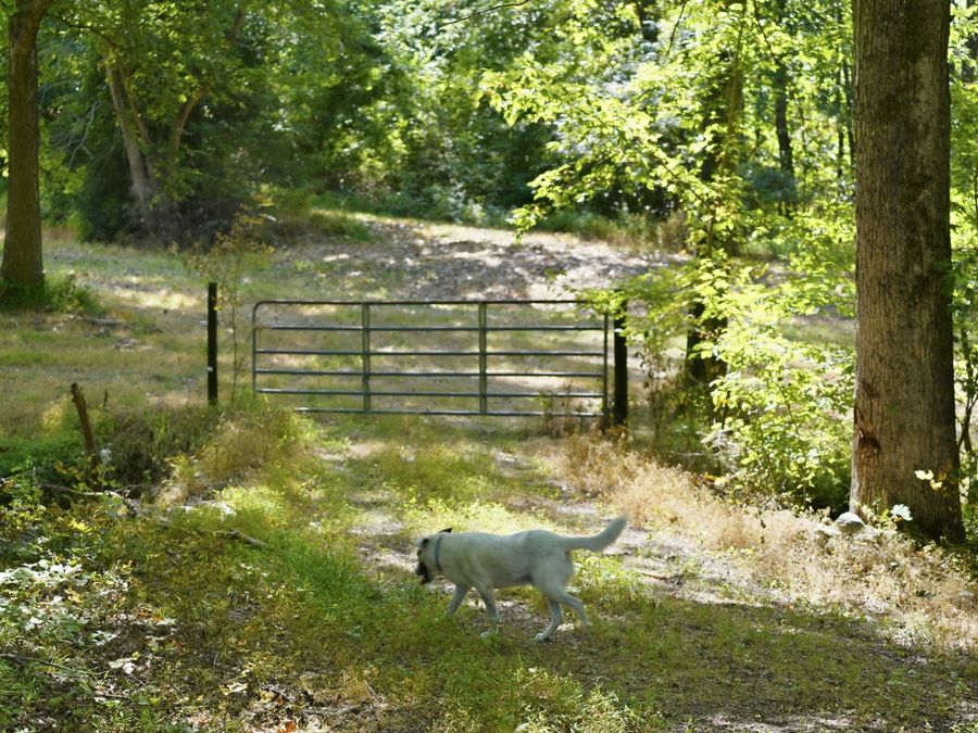 Property Image 95