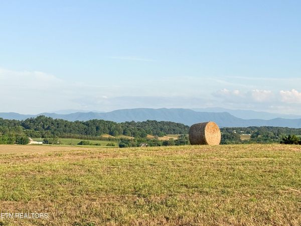 0 Summerset Dr , Unit 13, Talbott, TN 37877