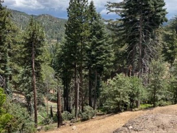 2349 Deep Creek, Running Springs, CA 92382