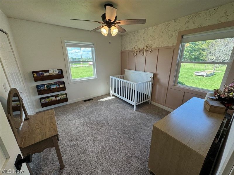 56965 Stumptown School Road, Jerusalem, OH 43747 Photo 29