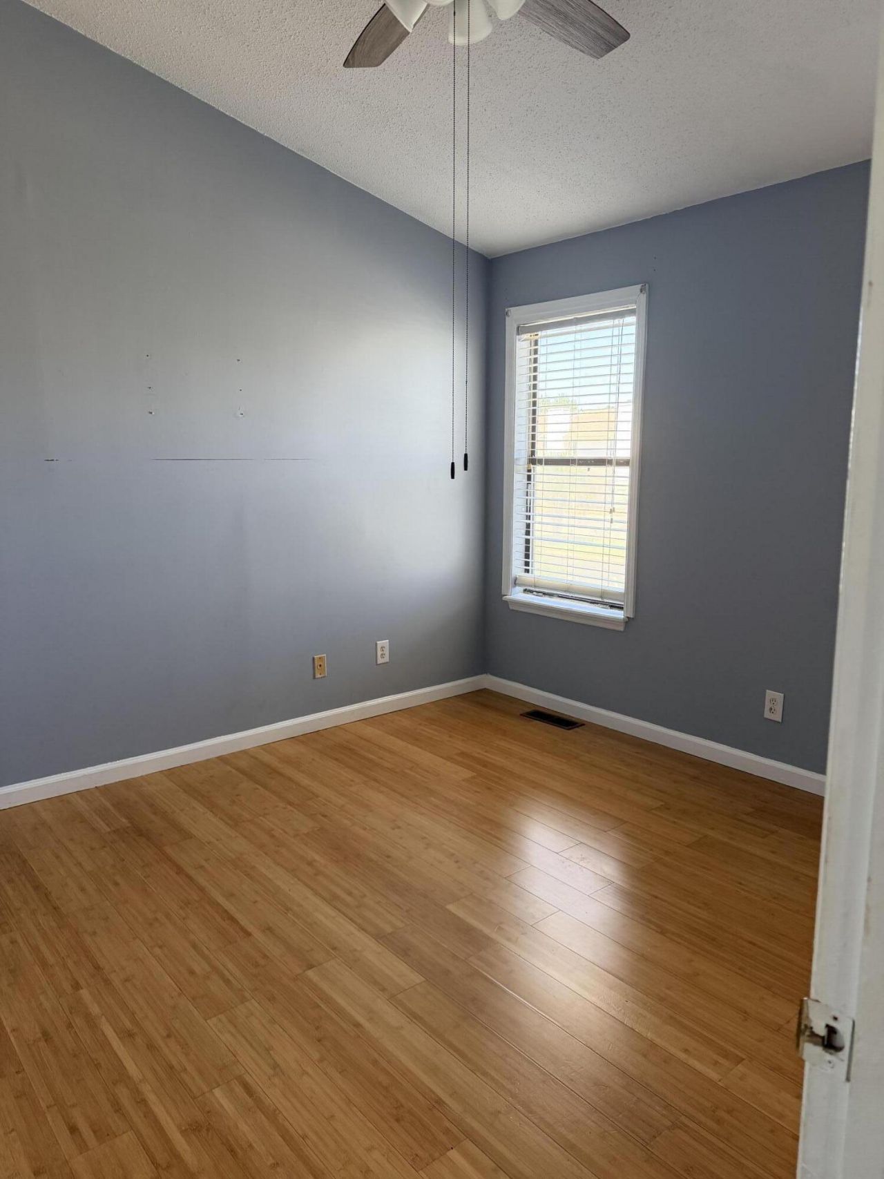 237 Pine Shadow Drive Photo 15
