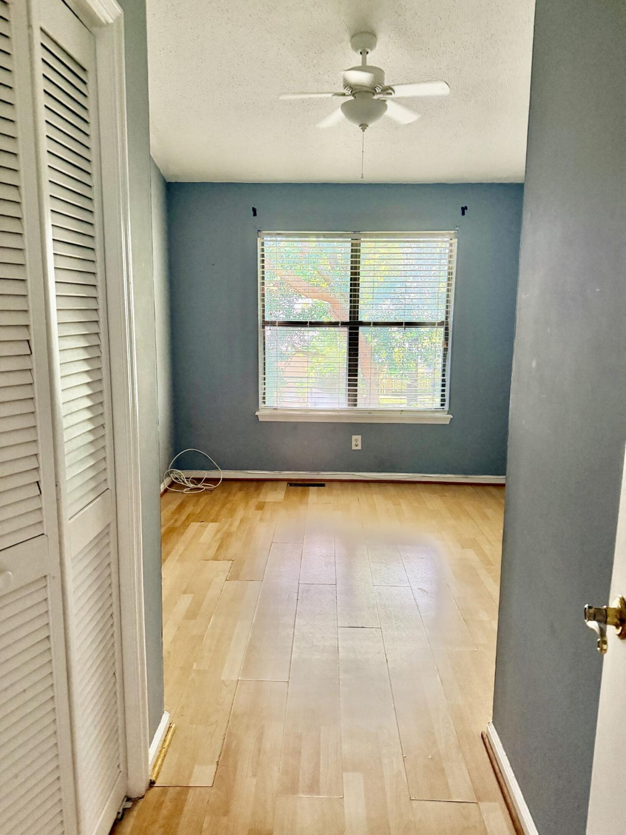 237 Pine Shadow Drive Photo 9