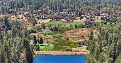 1710 Sierra View Dr, Meadow Vista, CA 95722 Photo