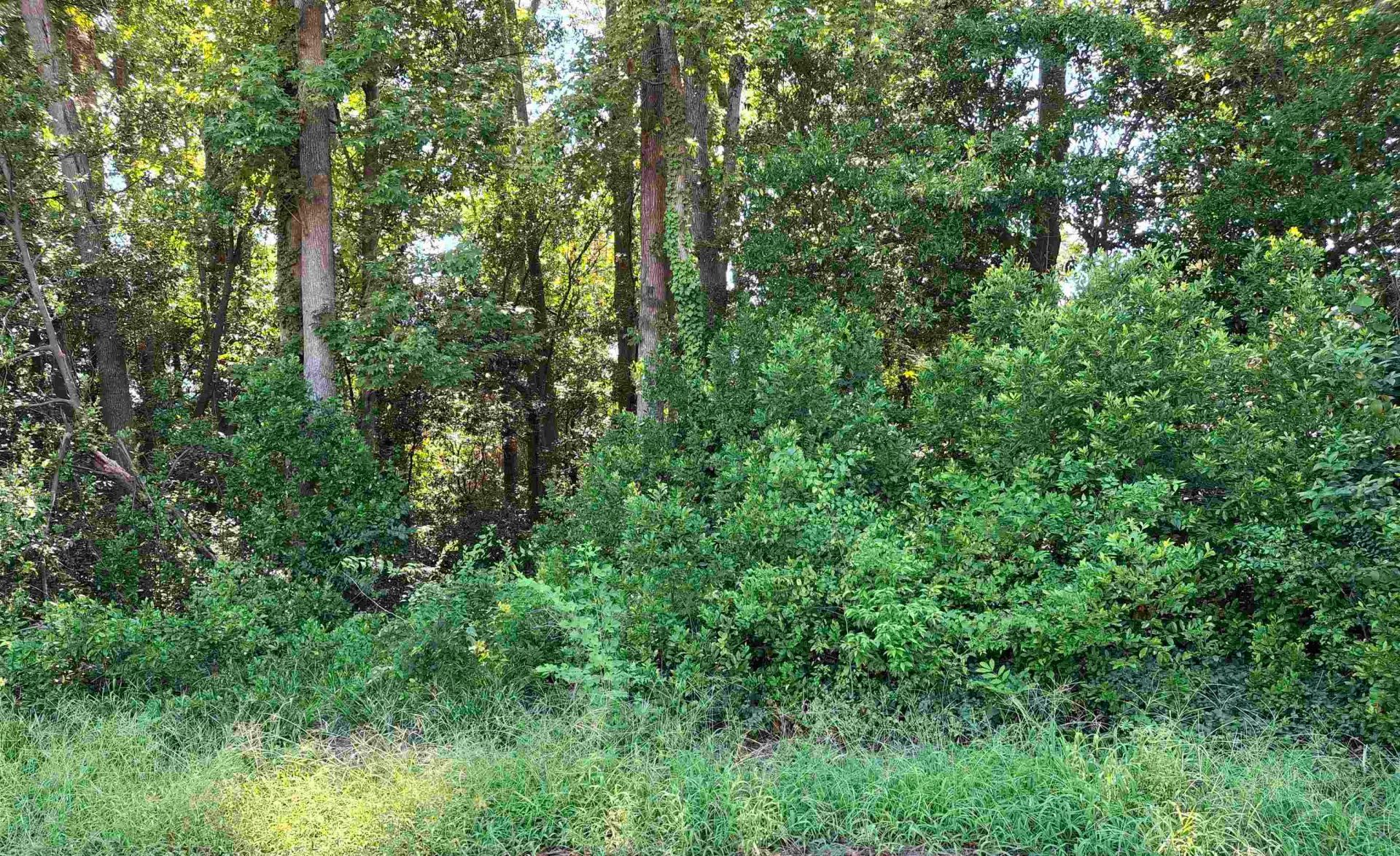 Tbd 29th Ave. S Photo 11