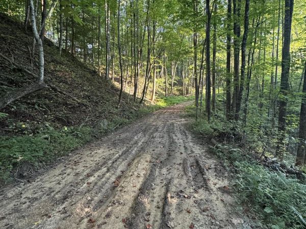 150 Timber Oaks Lane, Pioneer, TN 37847