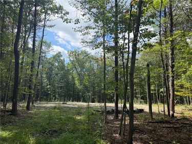 000/Lot 6 Prospect Ridge, Big Flats, NY 14814