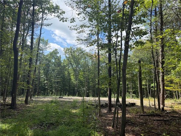 000/Lot 6 Prospect Ridge, Big Flats, NY 14814