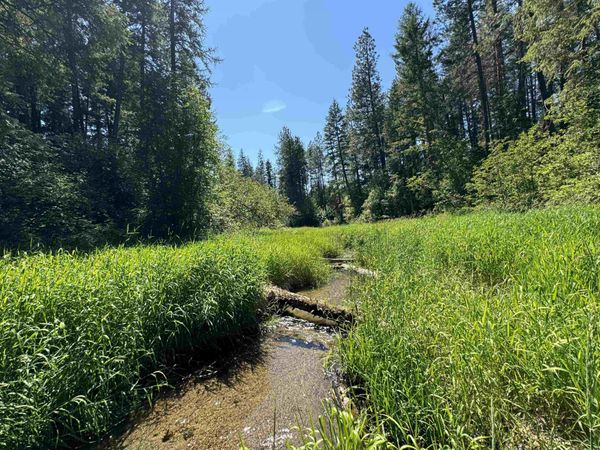 340 N Beck Ln, Springdale, WA 99173