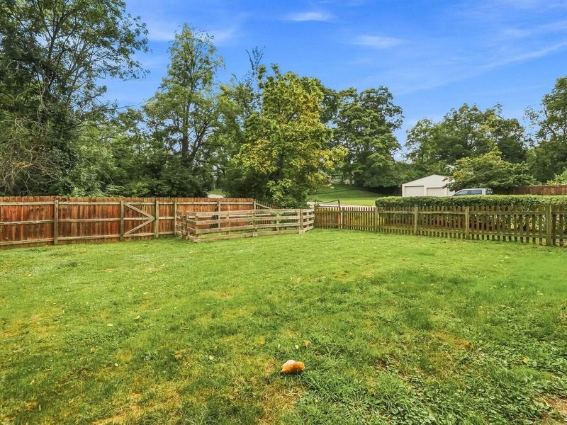 90 W Fountain Avenue, Delaware, OH 43015 Photo 6