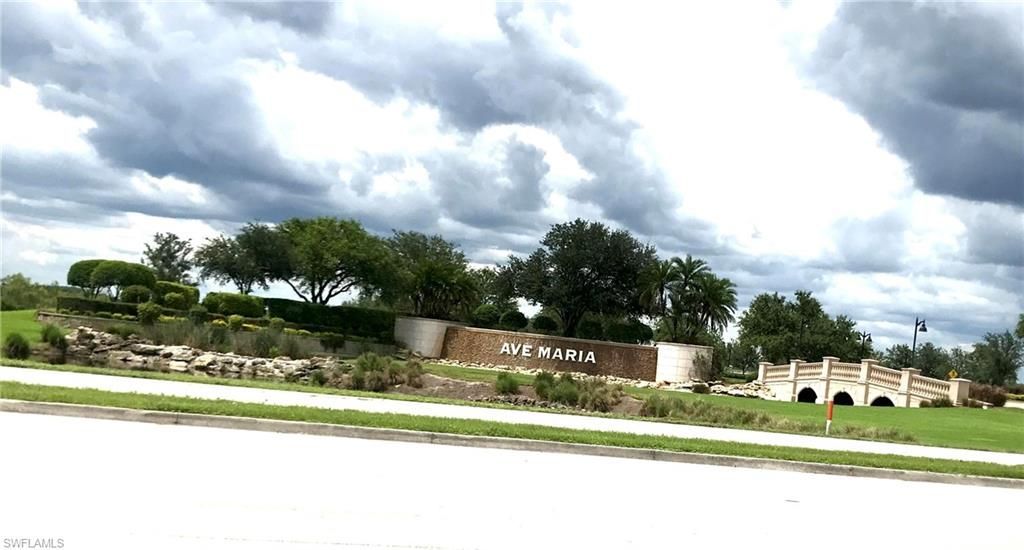 5434 Useppa Dr, Ave Maria, FL 34142 Photo